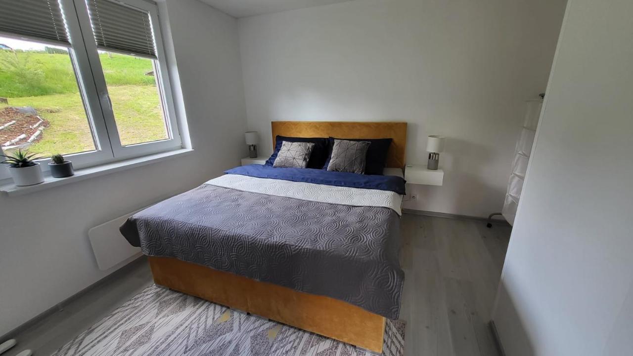 Apartman S Bazenem A Saunou Kadaň Zewnętrze zdjęcie